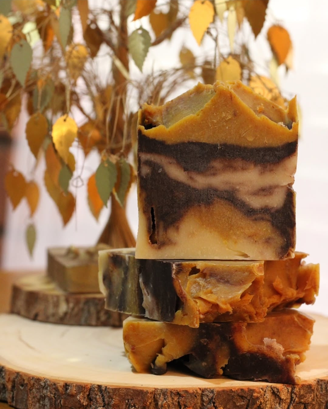 Cozy Cinnamon Swirl Soap